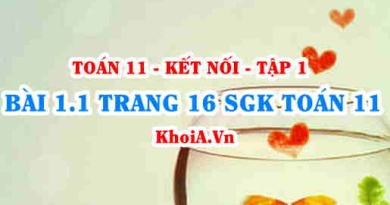 Bài 1.1 trang 16 SGK Toán 11 tập 1 Kết nối tri thức